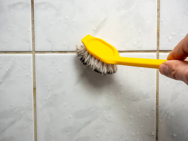 Best Residential Mold Remediation in Elwood, NY